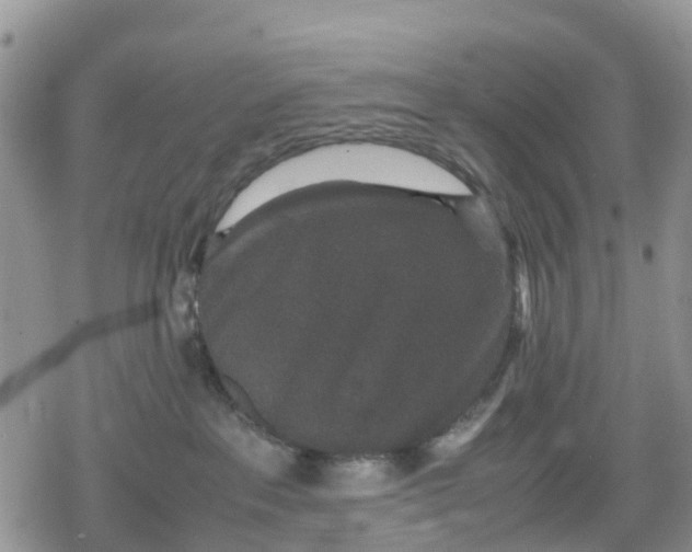 X0000078860237200611271419