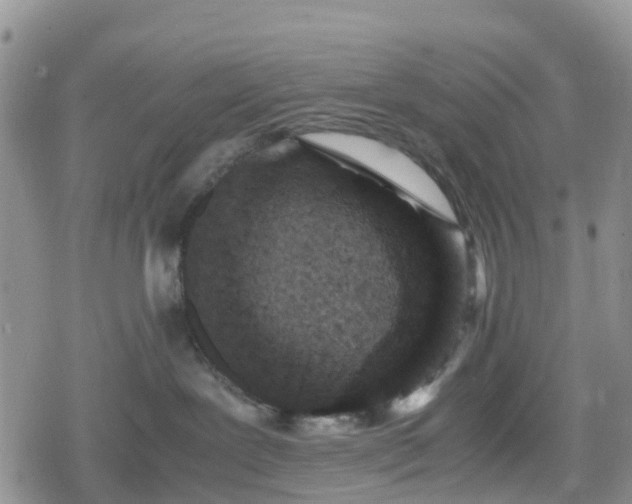 X0000078860239200611271419