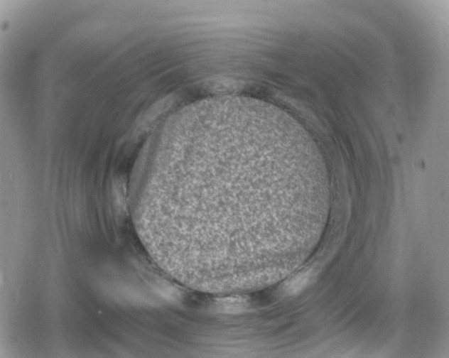 X0000078860240200611271419