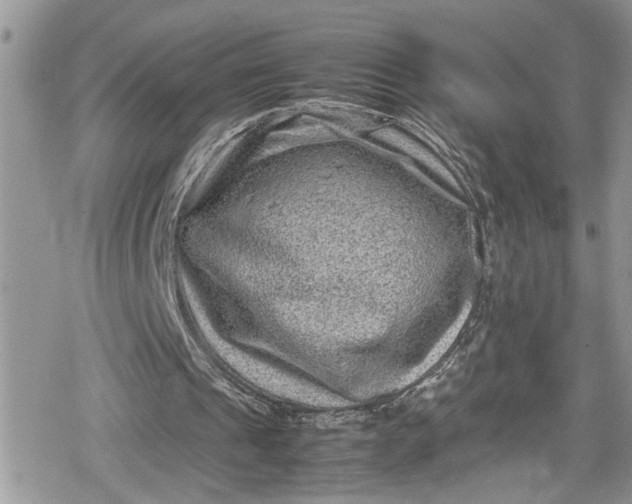 X0000078860241200611271419