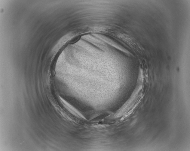 X0000078860242200611271419