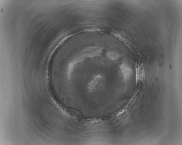 X0000078860243200611271419