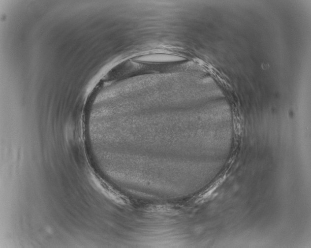 X0000078860244200611271419