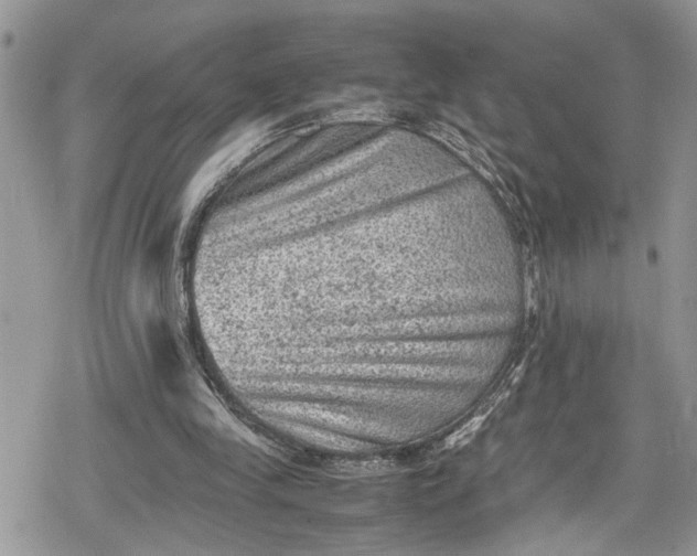 X0000078860245200611271419