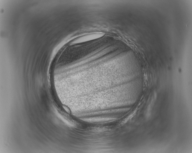 X0000078860246200611271419