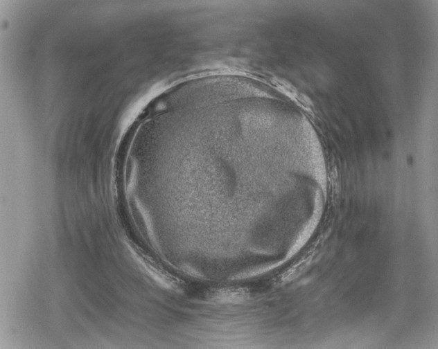 X0000078860248200611271419