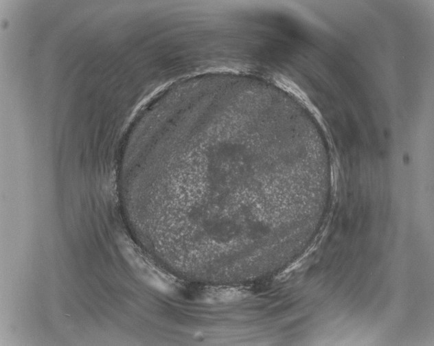 X0000078860249200611271419