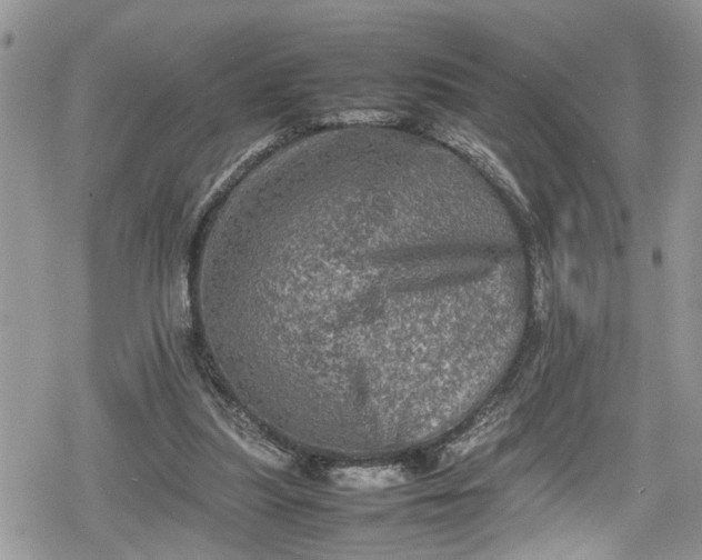 X0000078860251200611271419