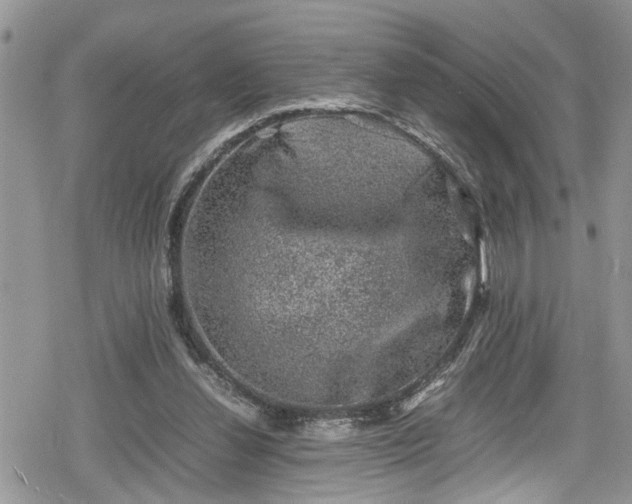 X0000078860252200611271419