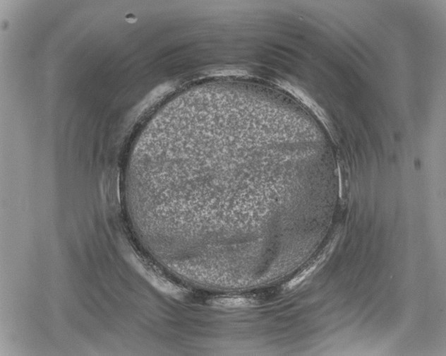 X0000078860253200611271419