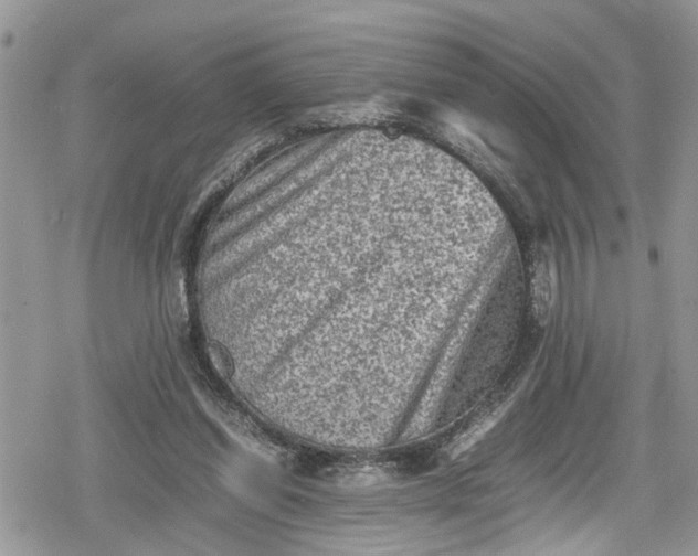 X0000078860254200611271419