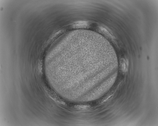 X0000078860255200611271419