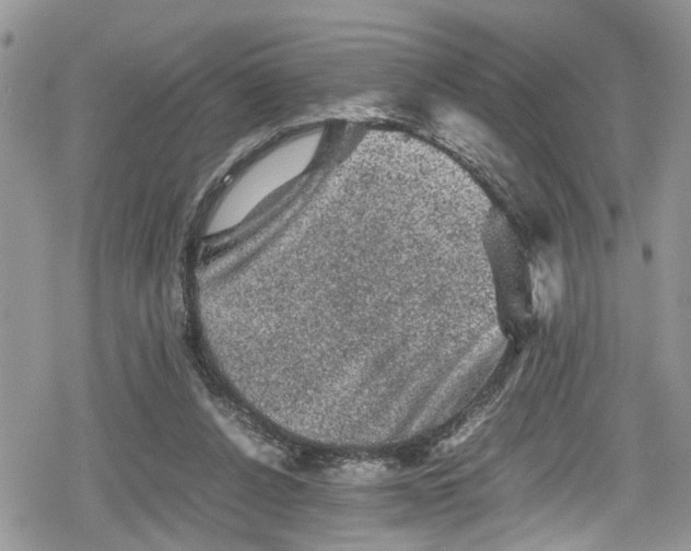 X0000078860256200611271419