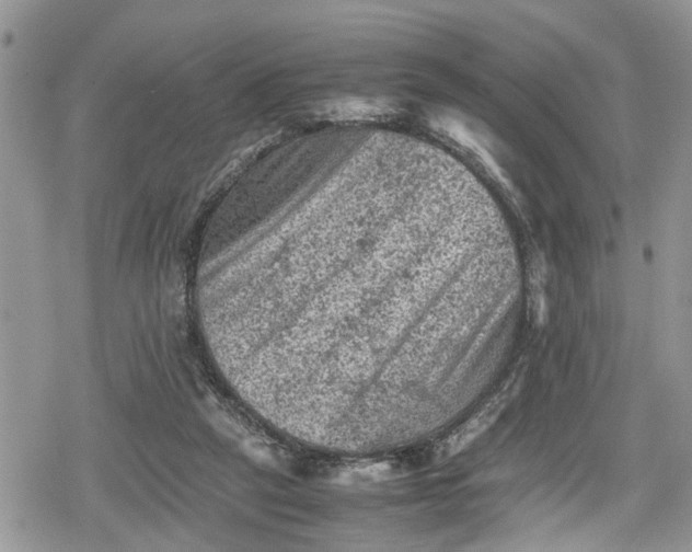 X0000078860257200611271419