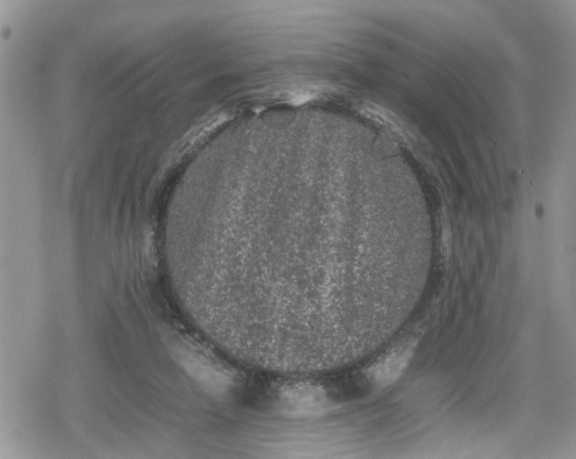 X0000078860258200611271419