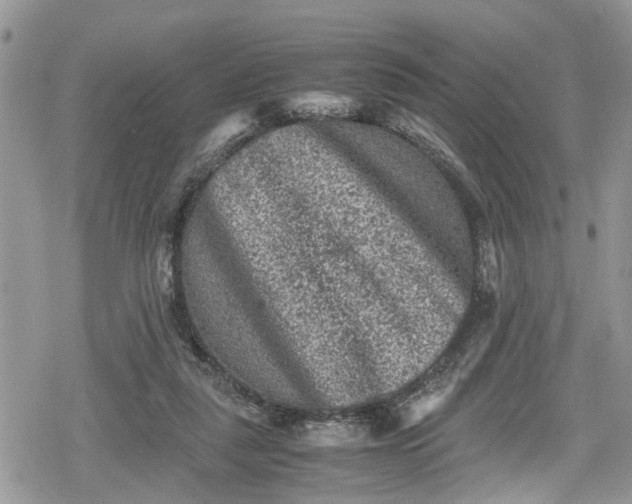 X0000078860259200611271419