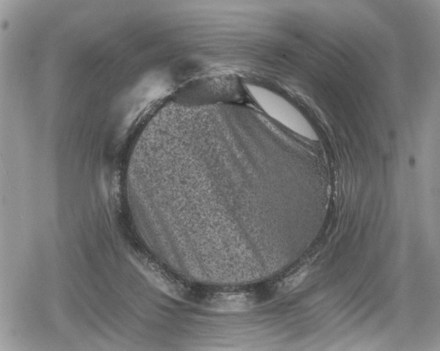 X0000078860260200611271419