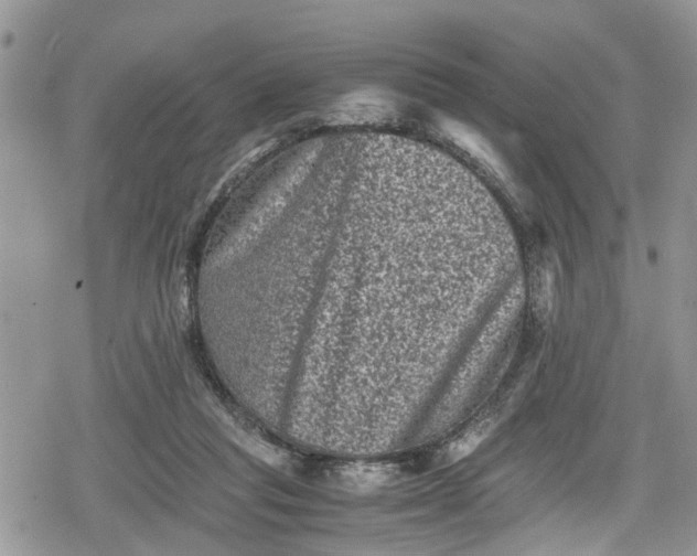 X0000078860261200611271419