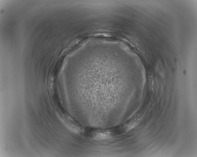 X0000078860263200611271419