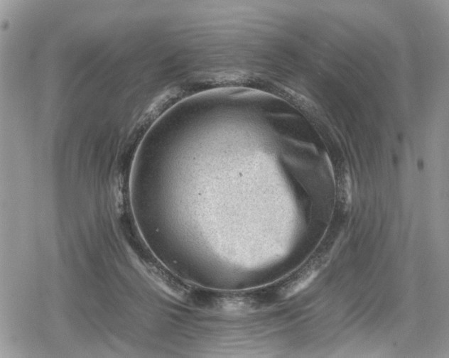 X0000078860264200611271419