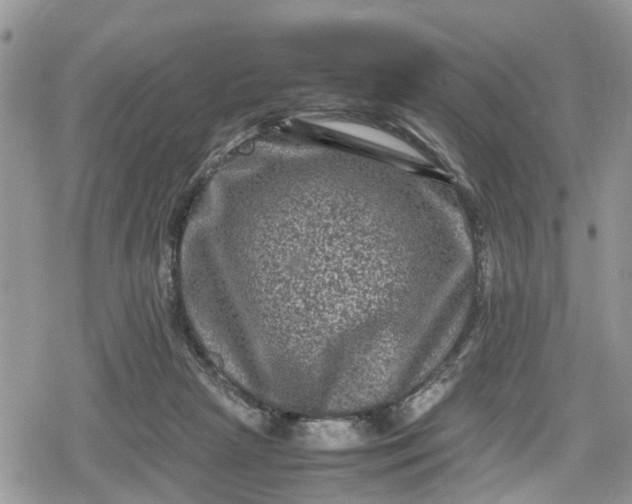 X0000078860265200611271419