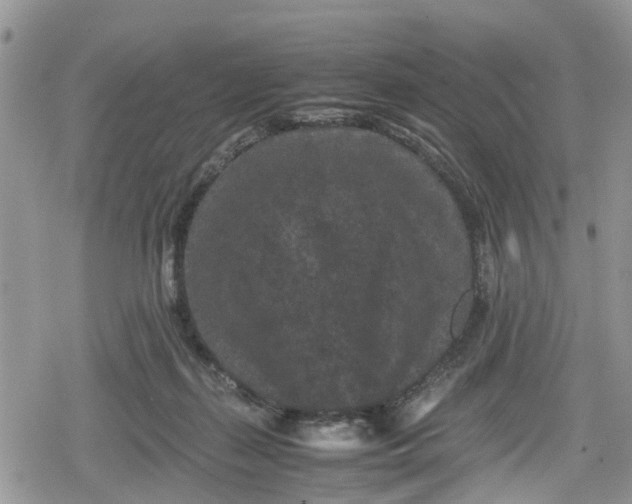 X0000078860267200611271419