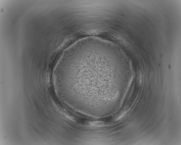 X0000078860268200611271419