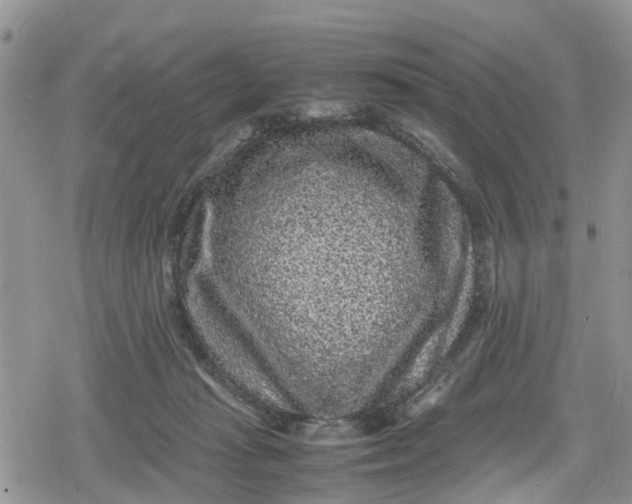 X0000078860269200611271419