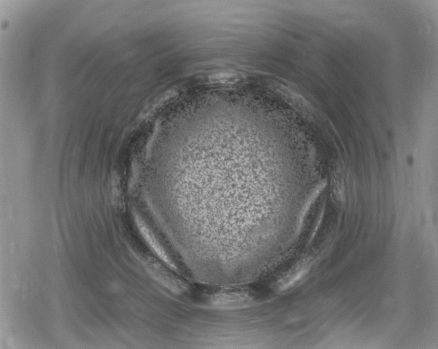 X0000078860270200611271419