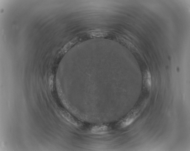 X0000078860271200611271419