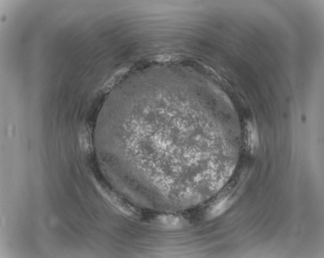 X0000078860272200611271419