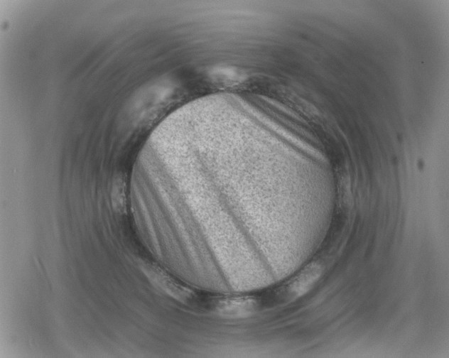 X0000078860274200611271419