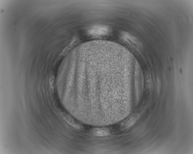 X0000078860275200611271419