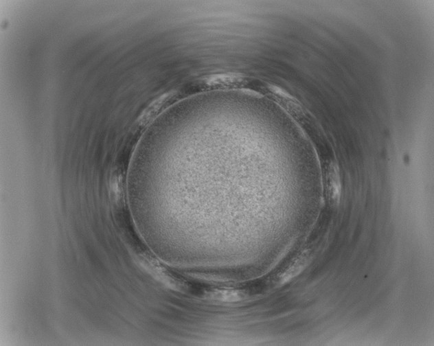 X0000078860276200611271419