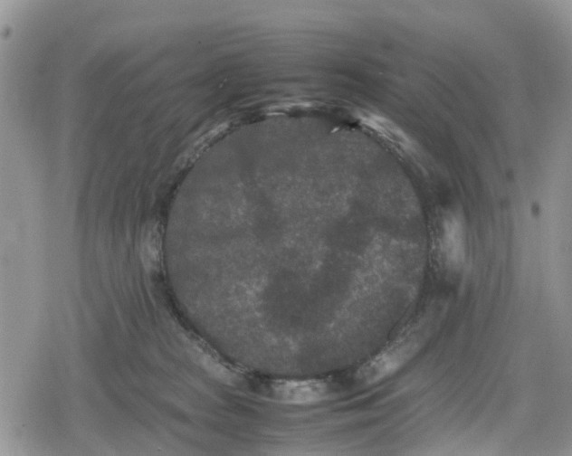 X0000078860277200611271419