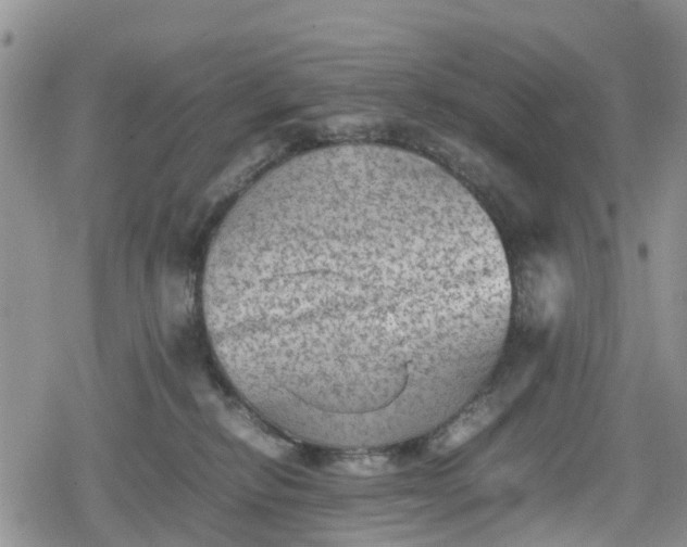 X0000078860278200611271419