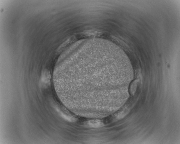 X0000078860279200611271419