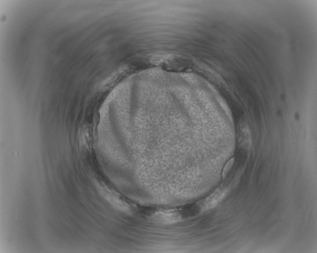 X0000078860280200611271419