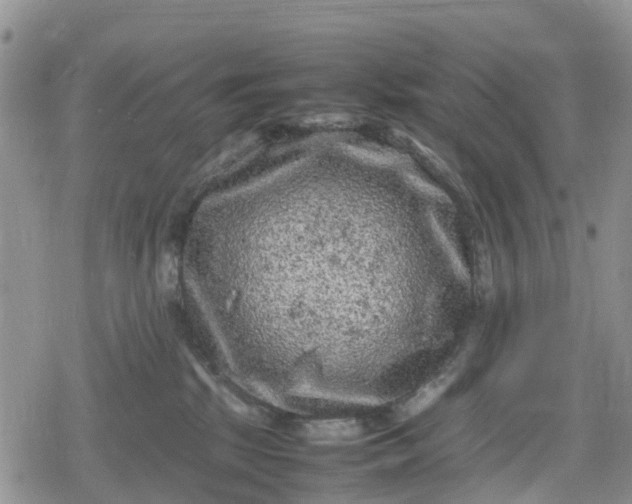 X0000078860281200611271419