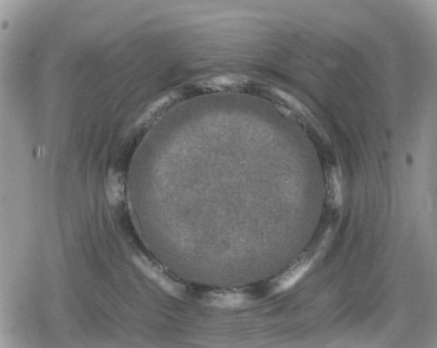 X0000078860284200611271419