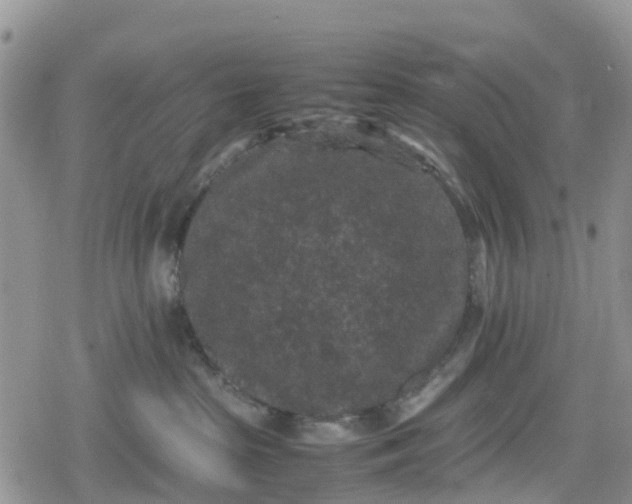 X0000078860285200611271419