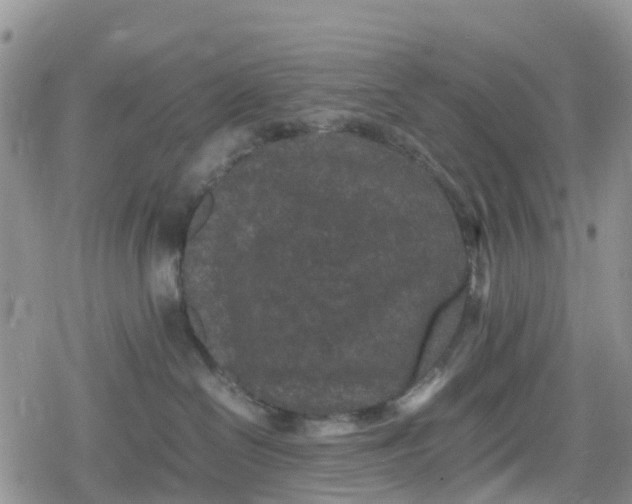 X0000078860286200611271419