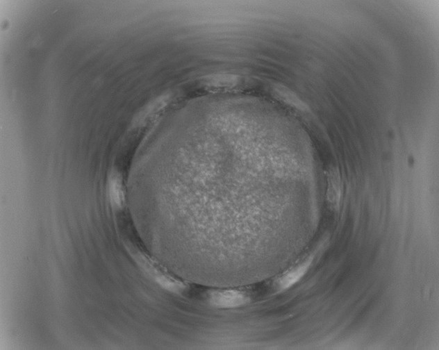 X0000078860287200611271419