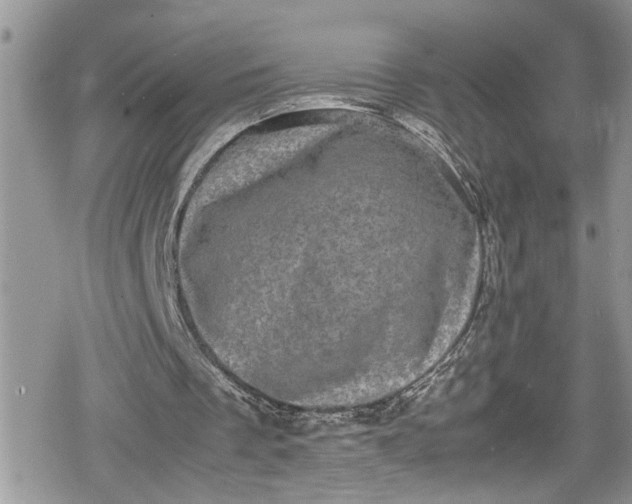 X0000078860289200611271419