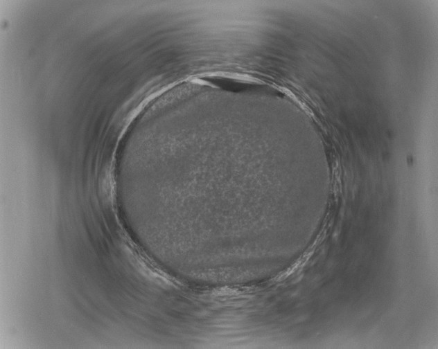 X0000078860290200611271419