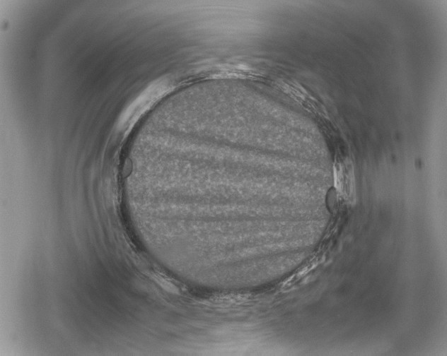 X0000078860291200611271419