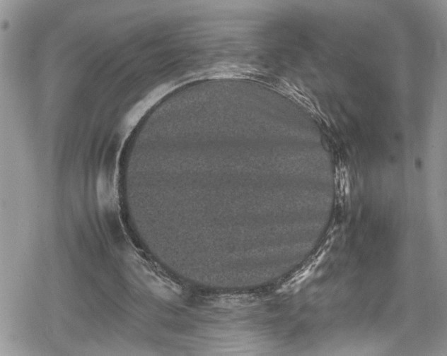 X0000078860292200611271419