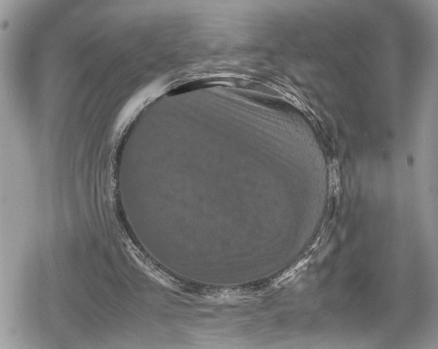 X0000078860293200611271419