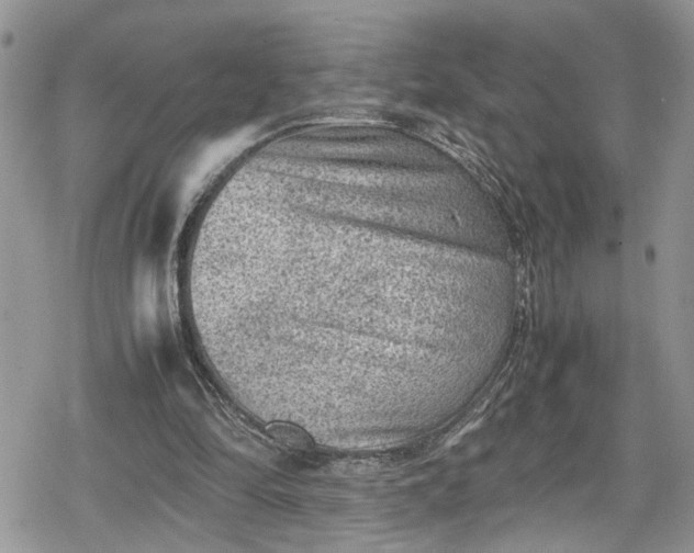 X0000078860294200611271419