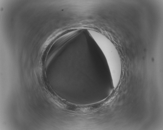 X0000078860295200611271418